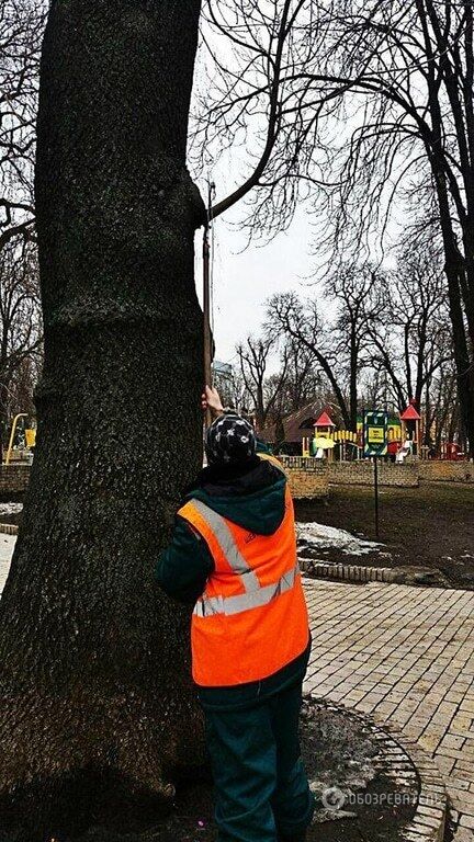 Готовятся к весне: во всех районах Киева проводят санитарную обрезку деревьев