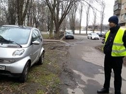 В Киеве на газоне засекли героиню парковки: фотофакт
