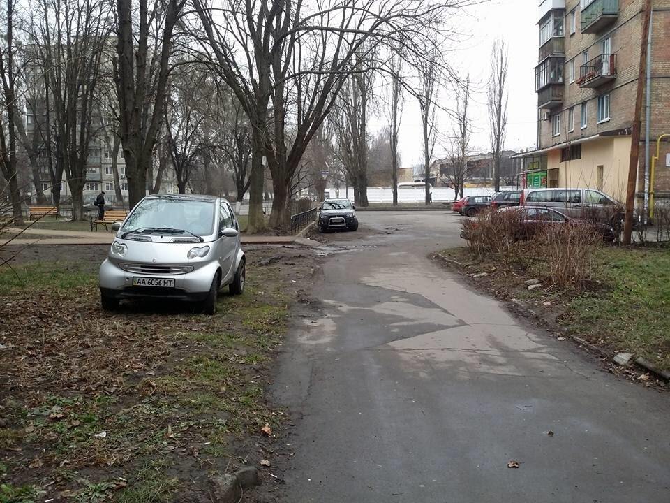 В Киеве на газоне засекли героиню парковки: фотофакт