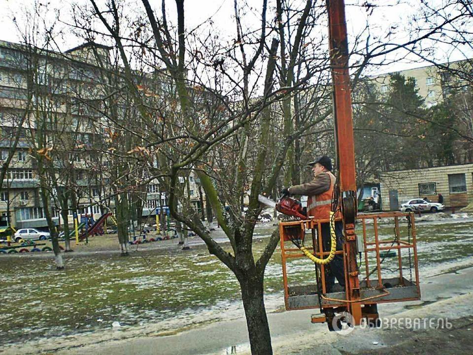 Готовятся к весне: во всех районах Киева проводят санитарную обрезку деревьев