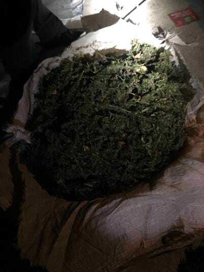 Сидели, курили: в Киевской области у наркоторговцев изъяли рекордную партию марихуаны