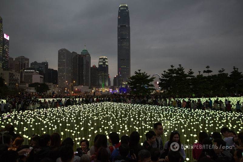 В Гонконге в День св. Валентина зажгли тысячи светодиодных роз: волшебные фото