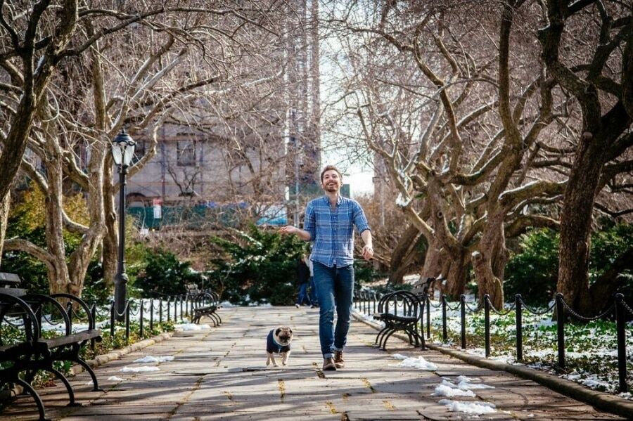 Любовь зла, полюбишь и ... пса. Трогательная фотосессия с мопсом