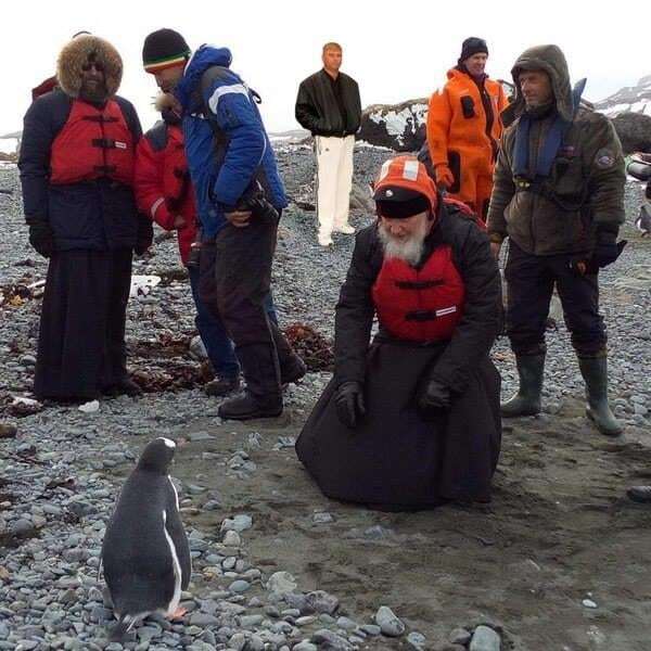 Гундяев и его пингвины: патриарх Кирилл в Антарктиде стал героем фотожаб