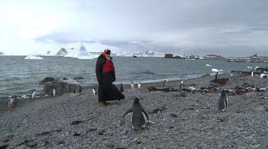 Патриарх Кирилл навестил пингвинов в Антарктиде