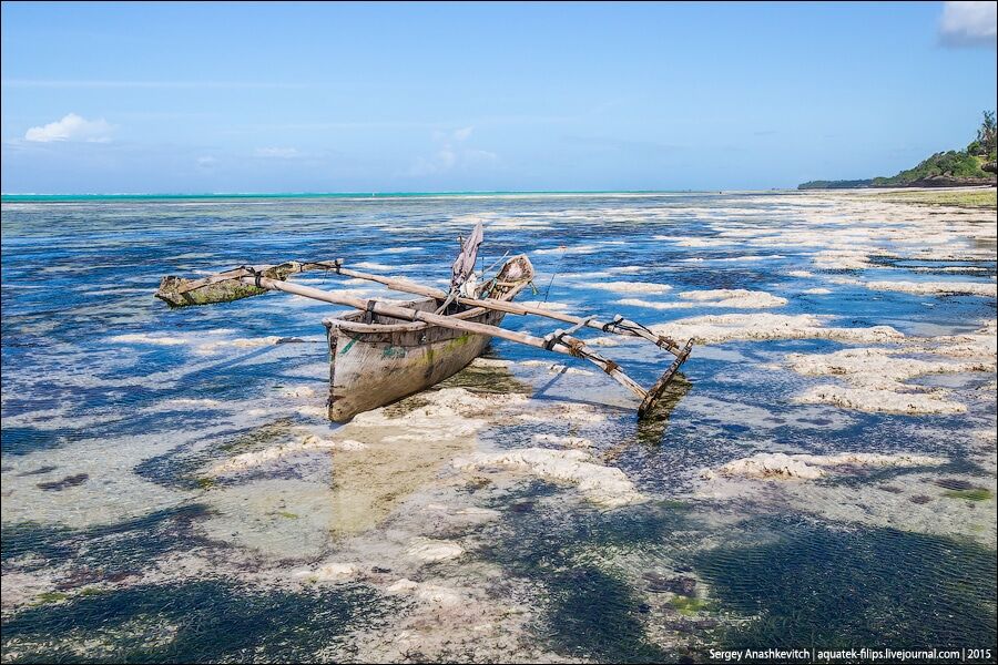 Сказочный остров: захватывающие дух фото экзотического Занзибара