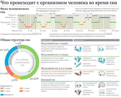 Нормы сна: инфографика