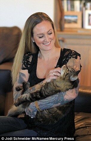 В США нашли самого старого кота в мире: фото пушистого долгожителя