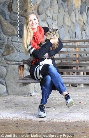 В США нашли самого старого кота в мире: фото пушистого долгожителя