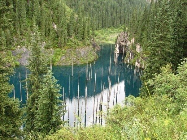Удивительное озеро Каинды: затонувший лес в Казахстане