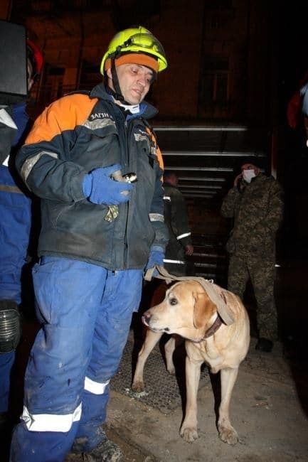 Обвал дома в центре Киева: спасатели показали новые фото и видео с места ЧП