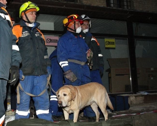 Обвал дома в центре Киева: спасатели показали новые фото и видео с места ЧП