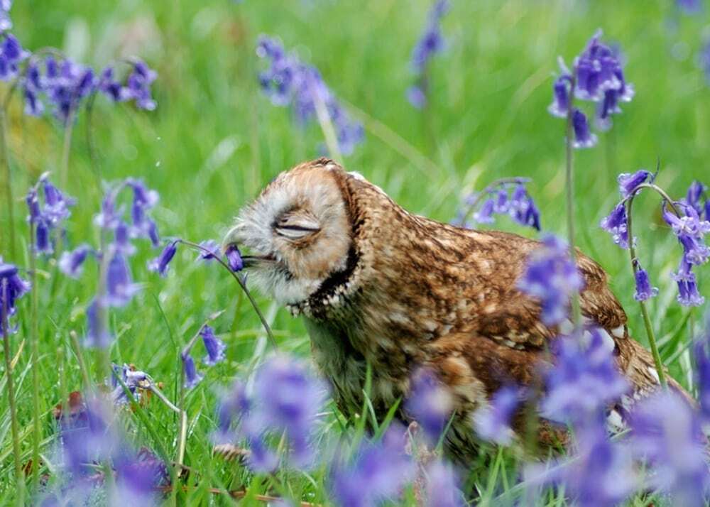 Пробуждение природы: 20 животных, которые ждут весны. Фоторепортаж