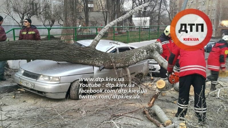 Божья кара: в Киеве дерево рухнуло на машины "героев парковки"