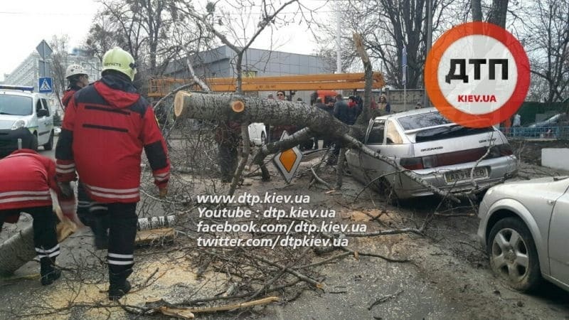 Божа кара: в Києві дерево впало на машини "героїв парковки"