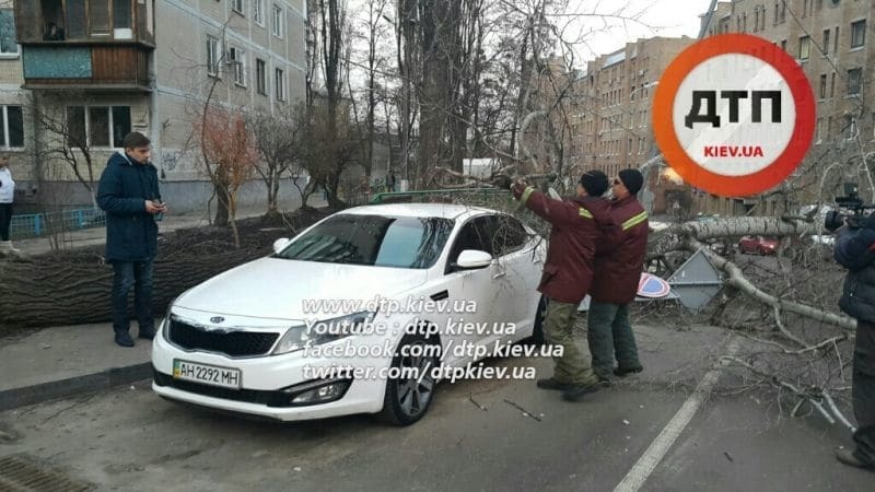 Божа кара: в Києві дерево впало на машини "героїв парковки"