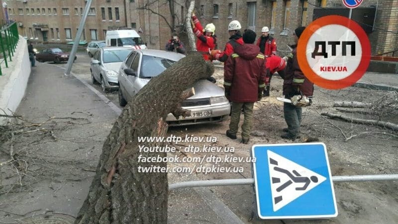Божа кара: в Києві дерево впало на машини "героїв парковки"