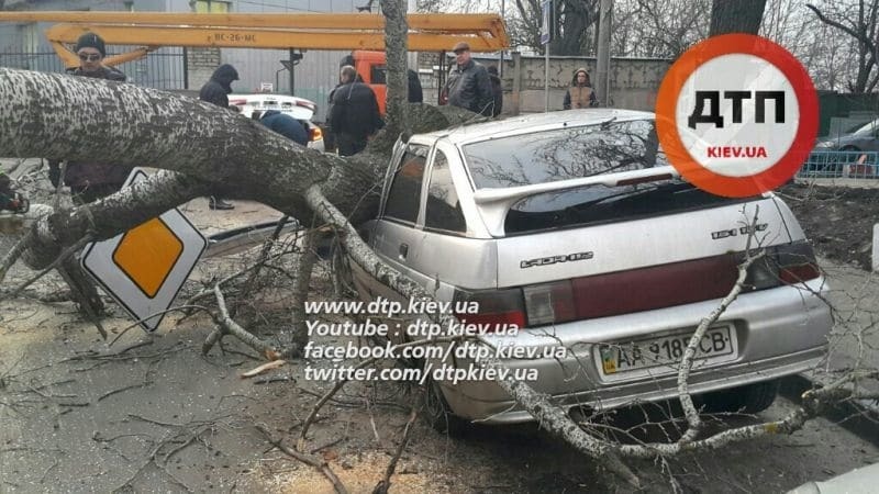 Божья кара: в Киеве дерево рухнуло на машины "героев парковки"