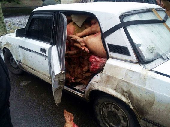 Поліція на шляху в "ДНР" затримала величезну "м'ясну" контрабанду: фотофакт