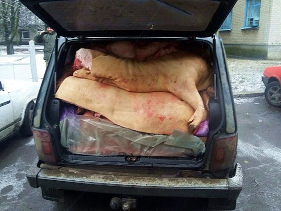 Полиция на пути в "ДНР" задержала огромную "мясную" контрабанду: фотофакт