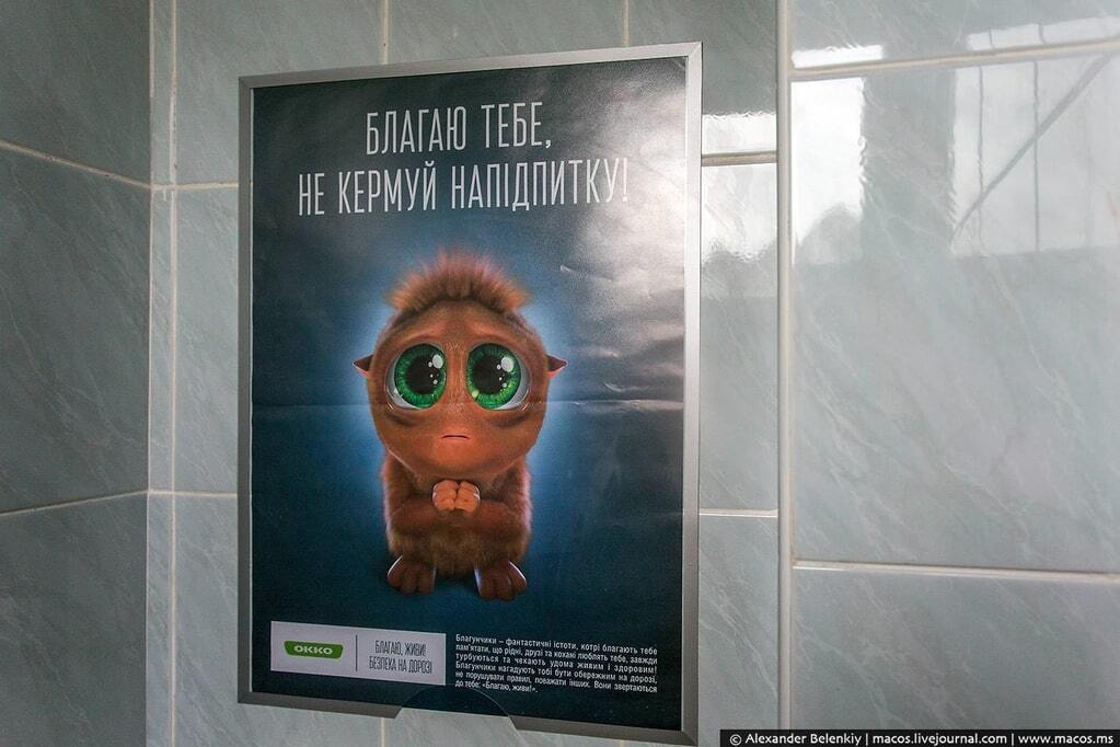 Росіянина шокував український "туалет для інопланетян": опубліковано фото
