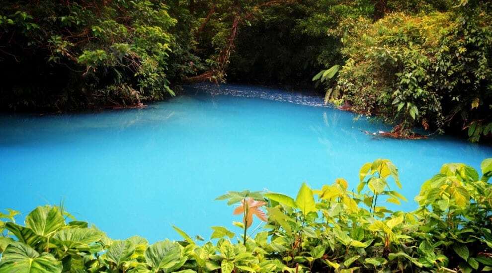 Чудо природы: фото реки в Коста-Рике, окрашенной в необычный цвет