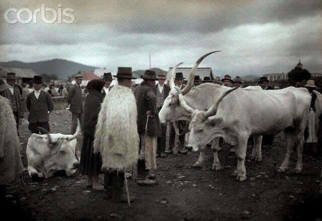 Опубликованы редкие цветные фото Карпат 1927 года