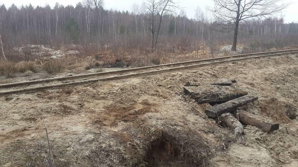 Бурштинова лихоманка: в мережі показали масштаби нелегального видобутку каменю