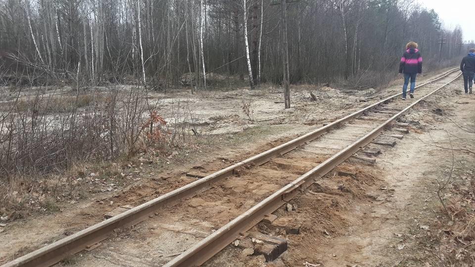 Янтарная лихорадка: в сети показали масштабы нелегальной добычи камня