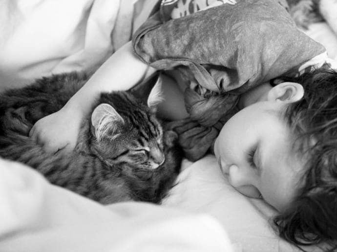 Невероятная дружба шестилетней художницы-аутиста и ее кошки: трогательная история