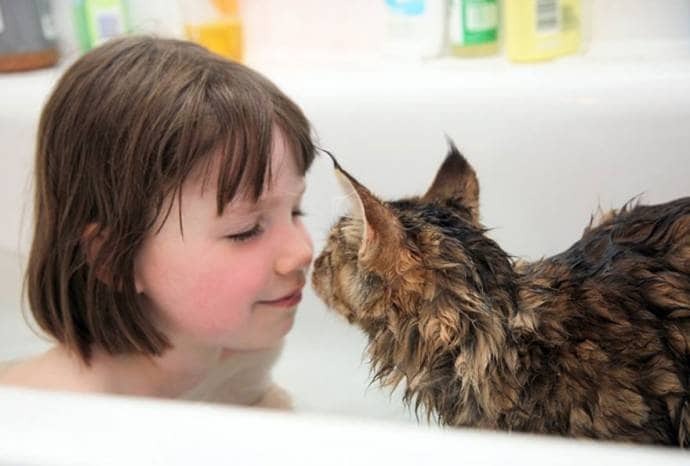 Невероятная дружба шестилетней художницы-аутиста и ее кошки: трогательная история