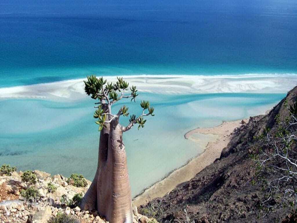 Жемчужина Йемена: необычные пейзажи острова Сокотра