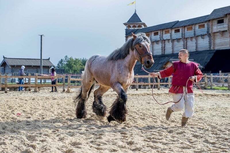 В "Парке Киевская Русь" на выходных покажут породистых лошадей, начнут праздновать Масленицу и будут поздравлять женщин