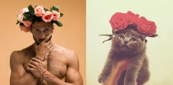 Мужчины и животные: топ-14 брутальных мачо, похожих на котов