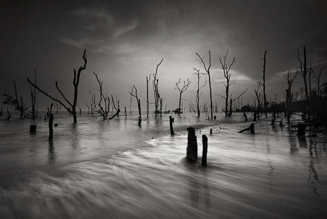 Водная гладь: завораживающие снимки от фотографа из Малайзии