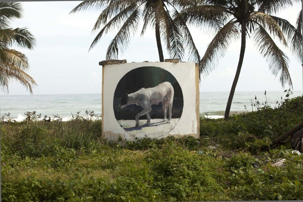 Уличный художник создает реалистичные картины на улицах Майами