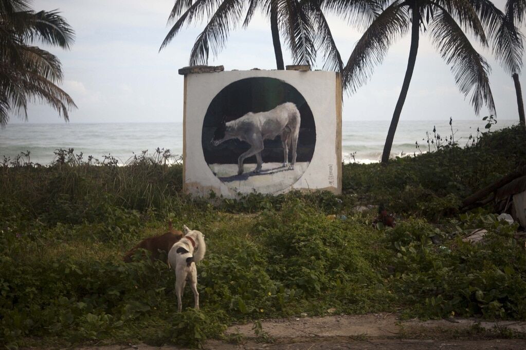 Уличный художник создает реалистичные картины на улицах Майами