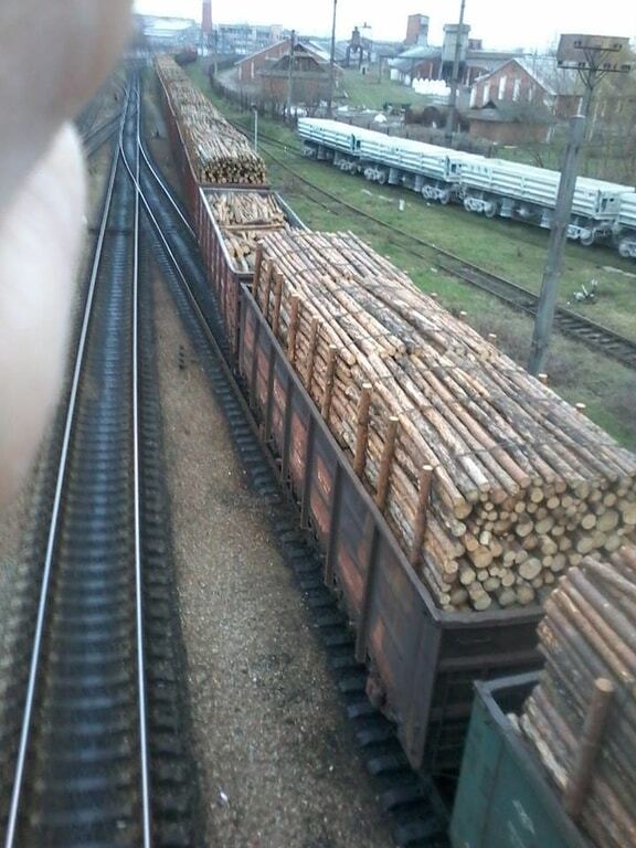 З України в Румунію ешелонами вивозять крадений ліс: фотофакт