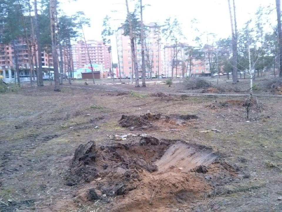 В Ірпені забудовник вирубив столітні сосни в парку, жителі готують акцію протесту