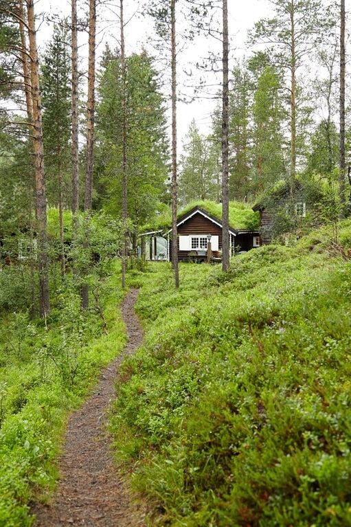Потрясающие фото очаровательного дома в Норвегии