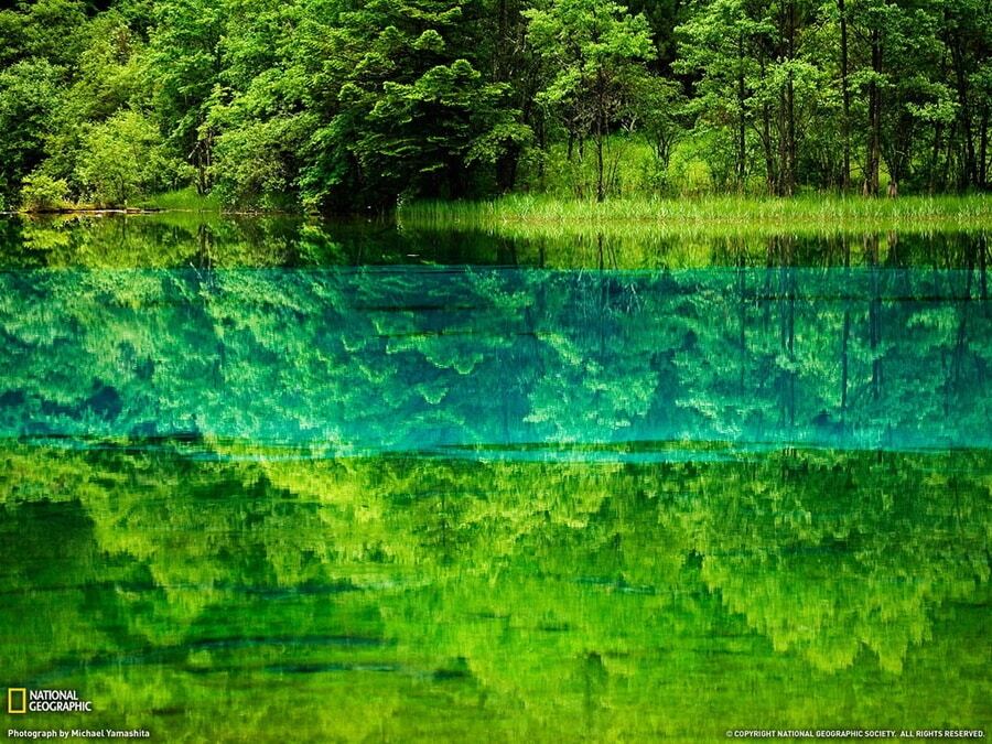 Чудо природы: удивительное озеро Пяти цветков в Китае