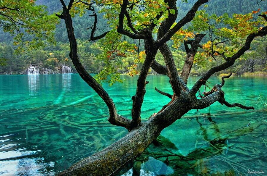 Чудо природы: удивительное озеро Пяти цветков в Китае