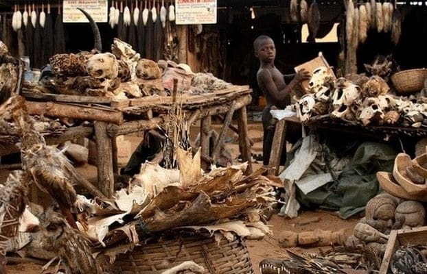 Зловещие люди или голливудские стереотипы: малоизвестные факты о вуду