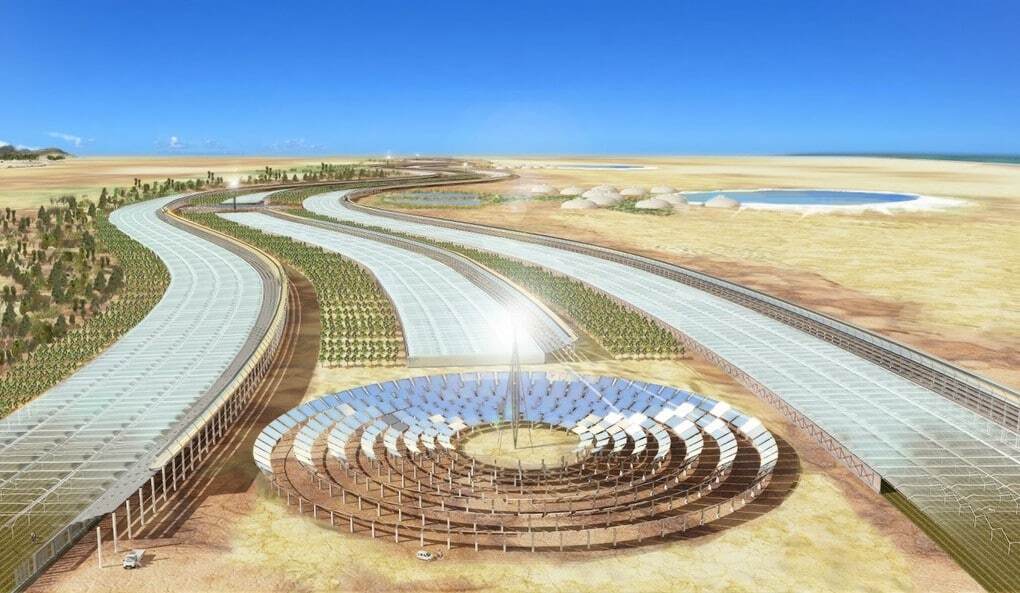 В пустыне Сахара построят эко-фермы для выращивания продуктов