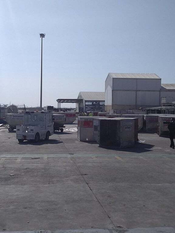 Захват A320 EgyptAir: опубликованы видео и фото освобождения пассажиров