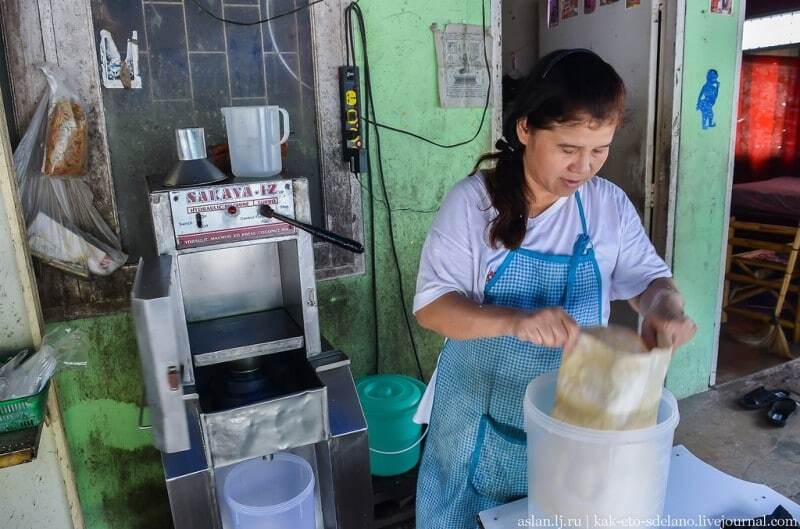 Путешествие в Таиланд: как добывают знаменитое кокосовое молоко