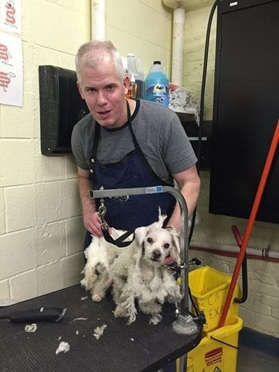 Экс-бизнесмен показал, как помочь собакам из приюта обрести дом