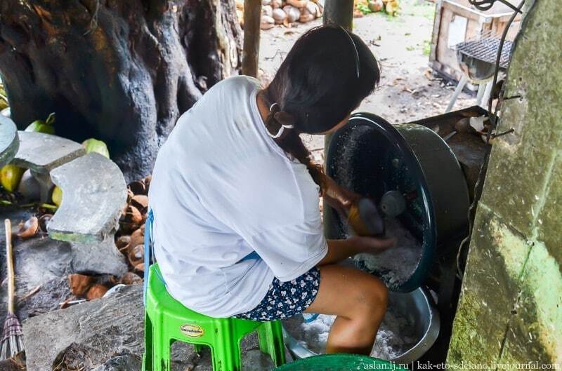Путешествие в Таиланд: как добывают знаменитое кокосовое молоко