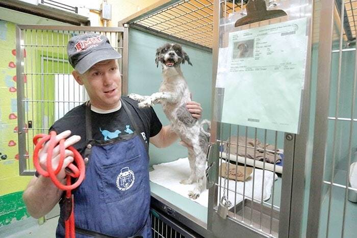Экс-бизнесмен показал, как помочь собакам из приюта обрести дом