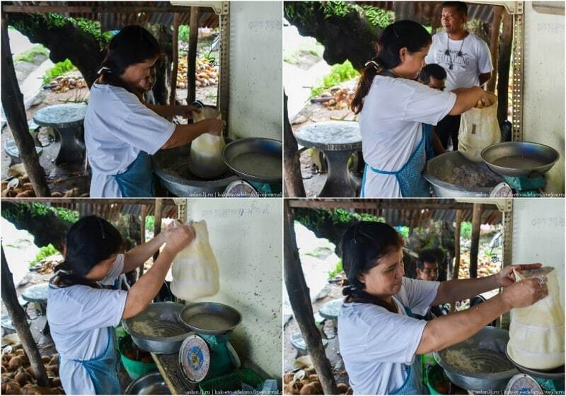 Подорож у Таїланд: як добувають знамените кокосове молоко